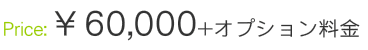 60000円+オプション詳細
